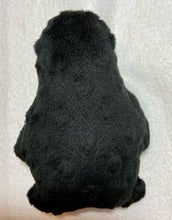 Penguin Stuffie 4x6 - ITH Digital Embroidery Design