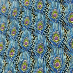Peacock Feathers 2