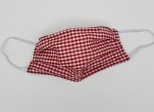 Red Gingham face mask