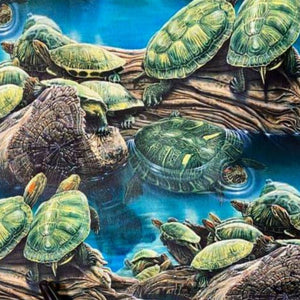 Sea Turtles 2