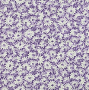 White Daisies on purple