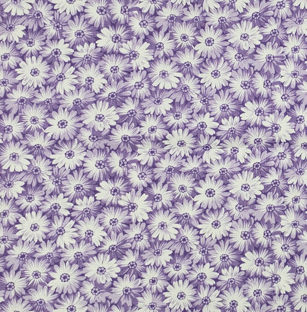 White Daisies on purple