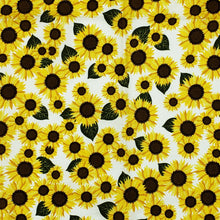 Sunflowers on white