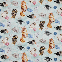 Kittens Kitty cats scattered on blue