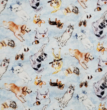 Dogs puppies scattered on blue