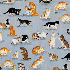 Kittens Playing Kitty cats scattered on grey