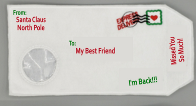Elf on the Shelf FROM the North Pole embroidered envelope