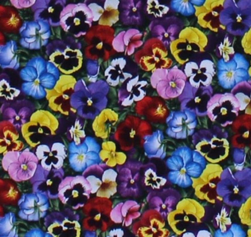 Pansie Multicolor Flowers